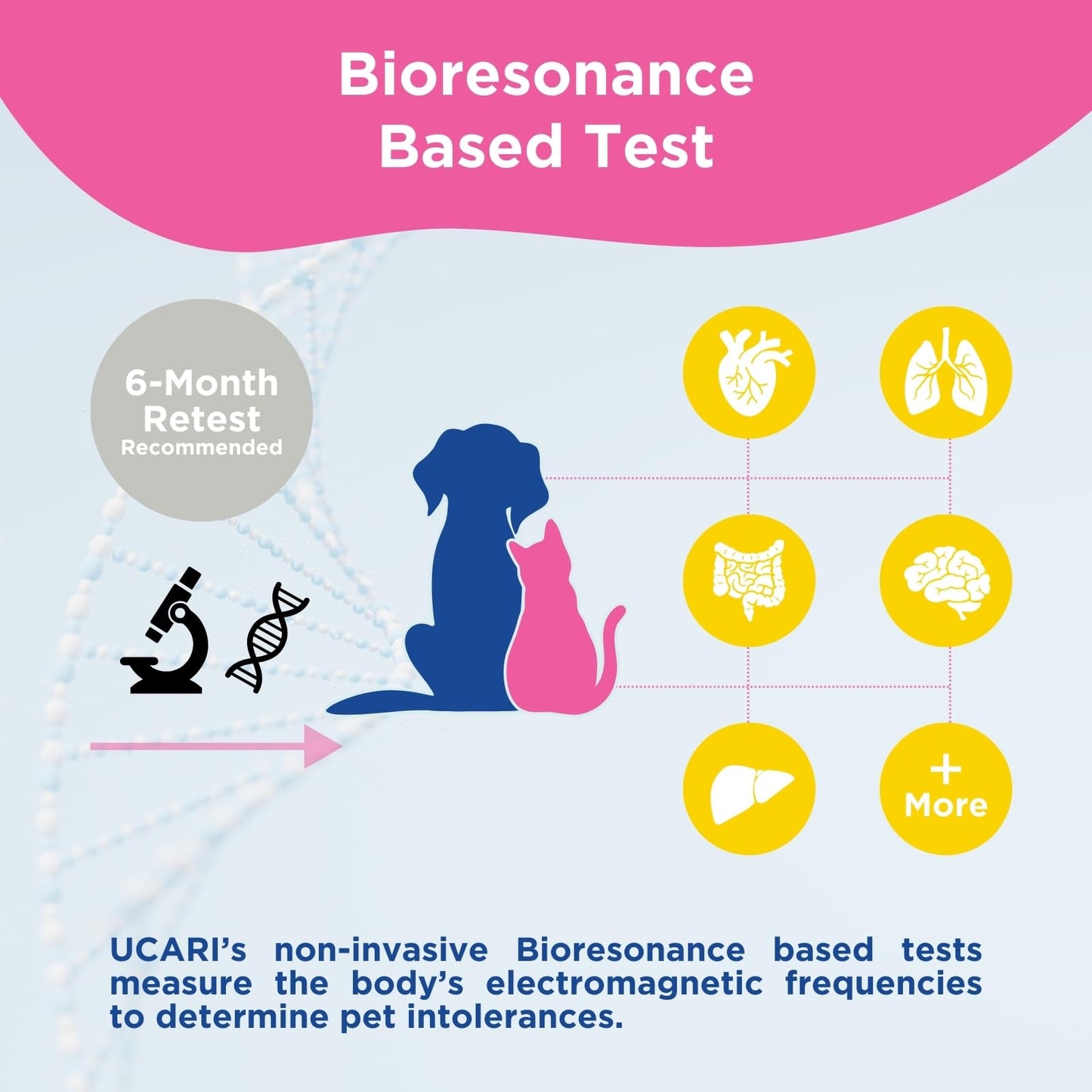 UCARI Pet Sensitivity Test | Screens for 350+ Intolerances | Food & Ingredients Analysis | Painless Home Test Hair Sample Method | Results in 48 Hours | Cats & Dogs