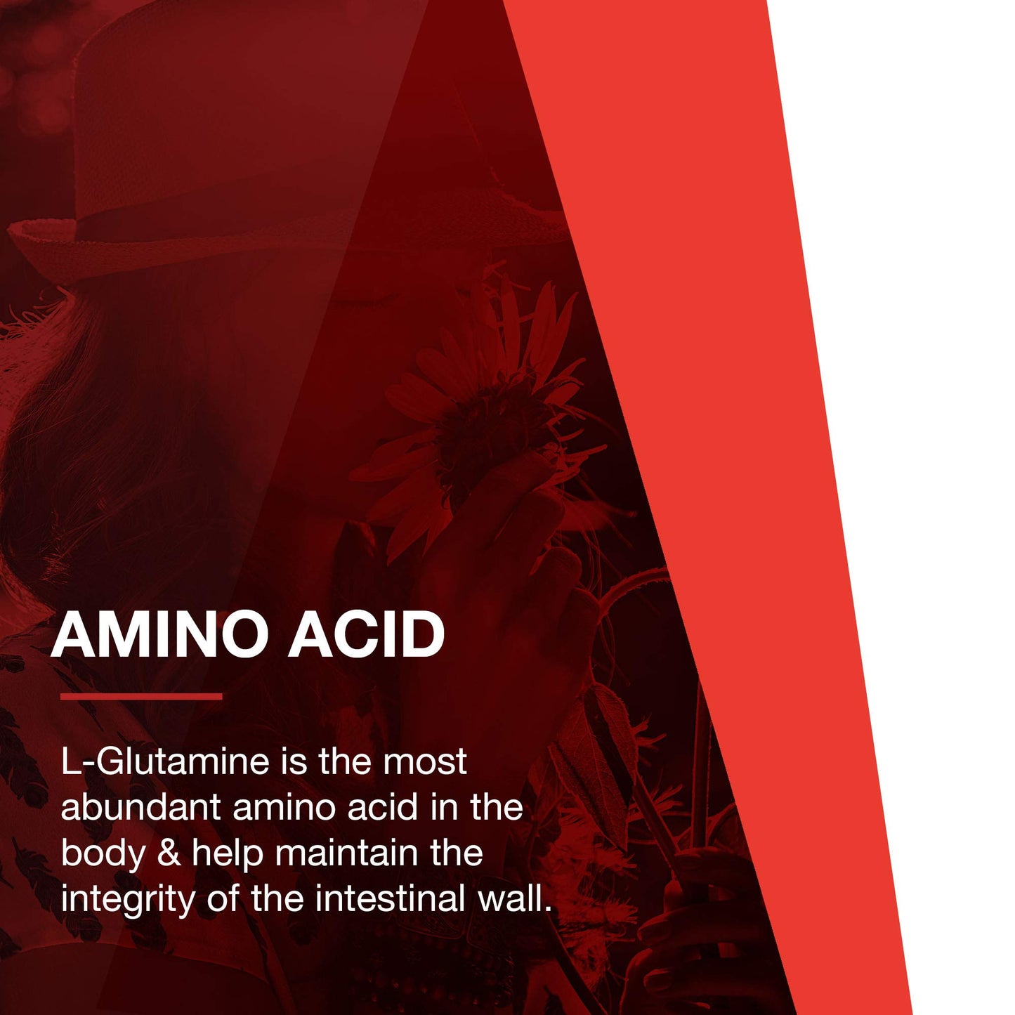 PROTOCOL FOR LIFE BALANCE L-Glutamine - Pure Powder - Muscle Tissue, Gut Health and Immune Support - 1 Pound