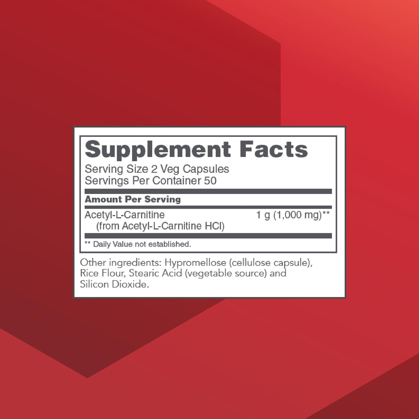 Protocol Acetyl- L-Carnitine 500mg - Energy Supplement, Nerve, and Brain Support - 100 Veg Caps