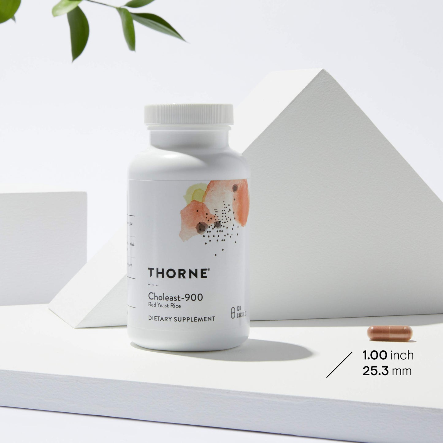 THORNE Choleast-900-900mg Red Yeast Rice Extract - Gluten-Free Supplement Supports Healthy Cholesterol Levels Already in a Normal Range, Heart & Blood Pressure* - 120 Capsules