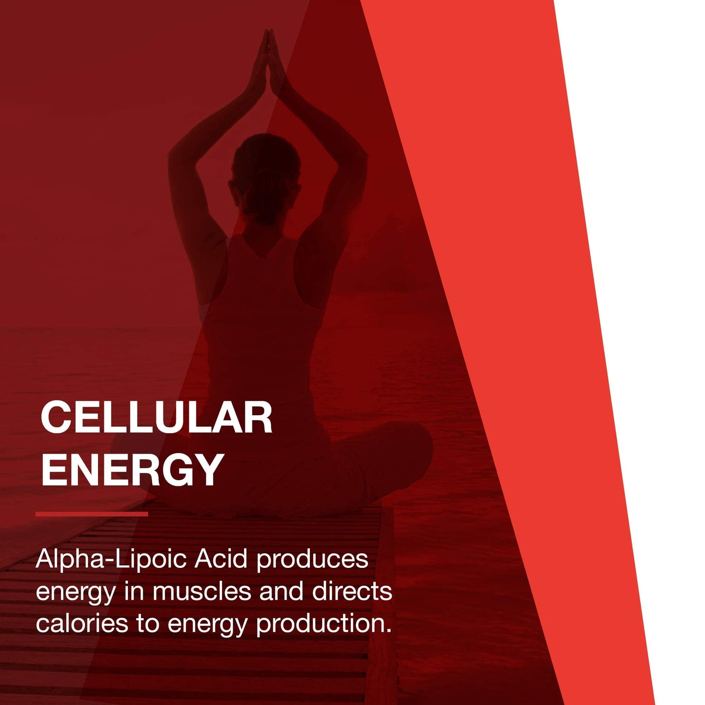 Protocol Alpha Lipoic Acid 600mg - Grape Seed Extract and Bioperine - 60 Veg Caps