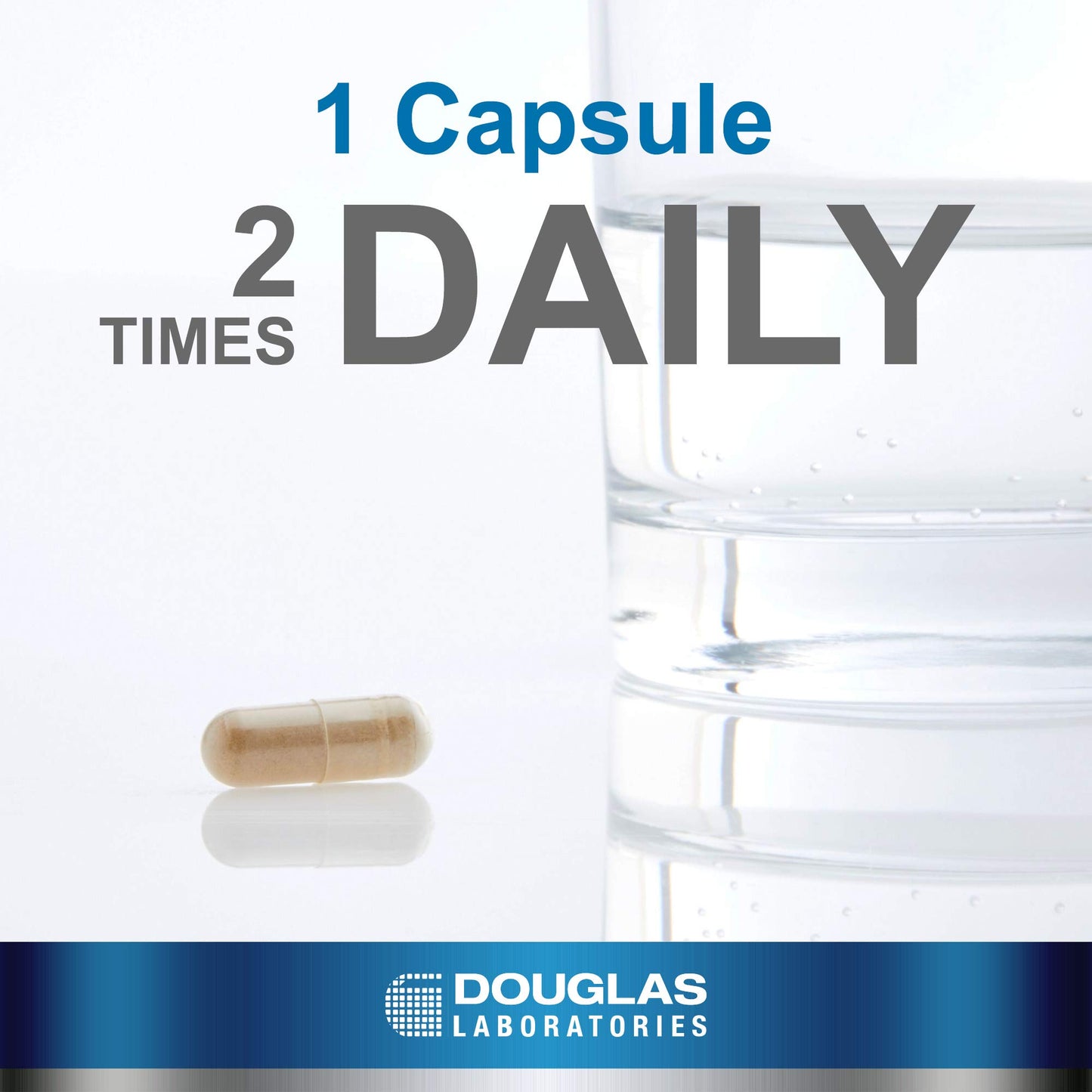 Douglas Laboratories Astragalus Max-V Supplement | Supplement to Support The Immune, Cardiovascular, Renal, and Hepatic Systems* | 60 Capsules