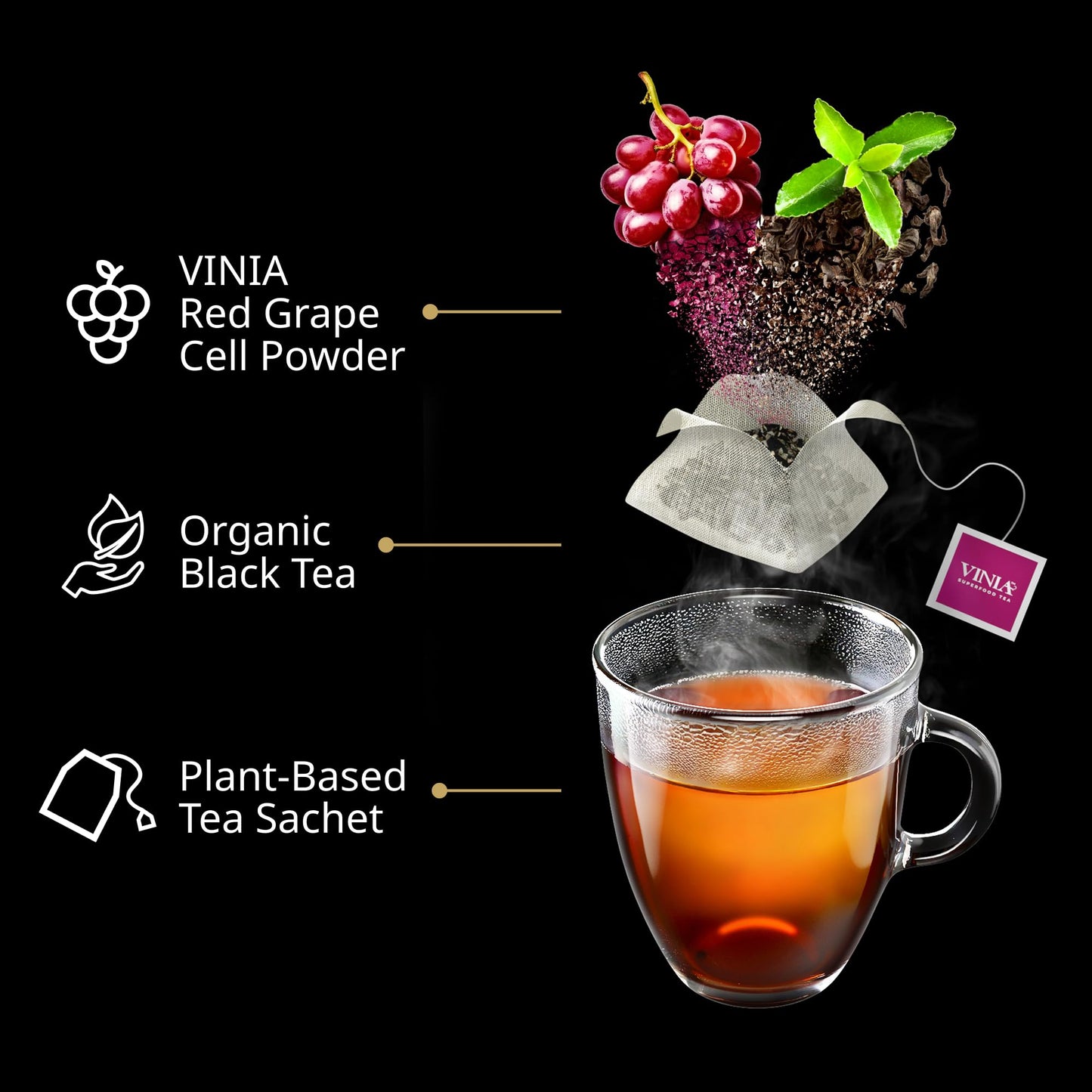 VINIA English Breakfast Black Tea Bags, Made with Organic Tea, Infused with Piceid Resveratrol for Heart Health, Nitric Oxide, Physical Energy, Alertness, Blood Flow, Keto, Kosher, NON-GMO. (30)