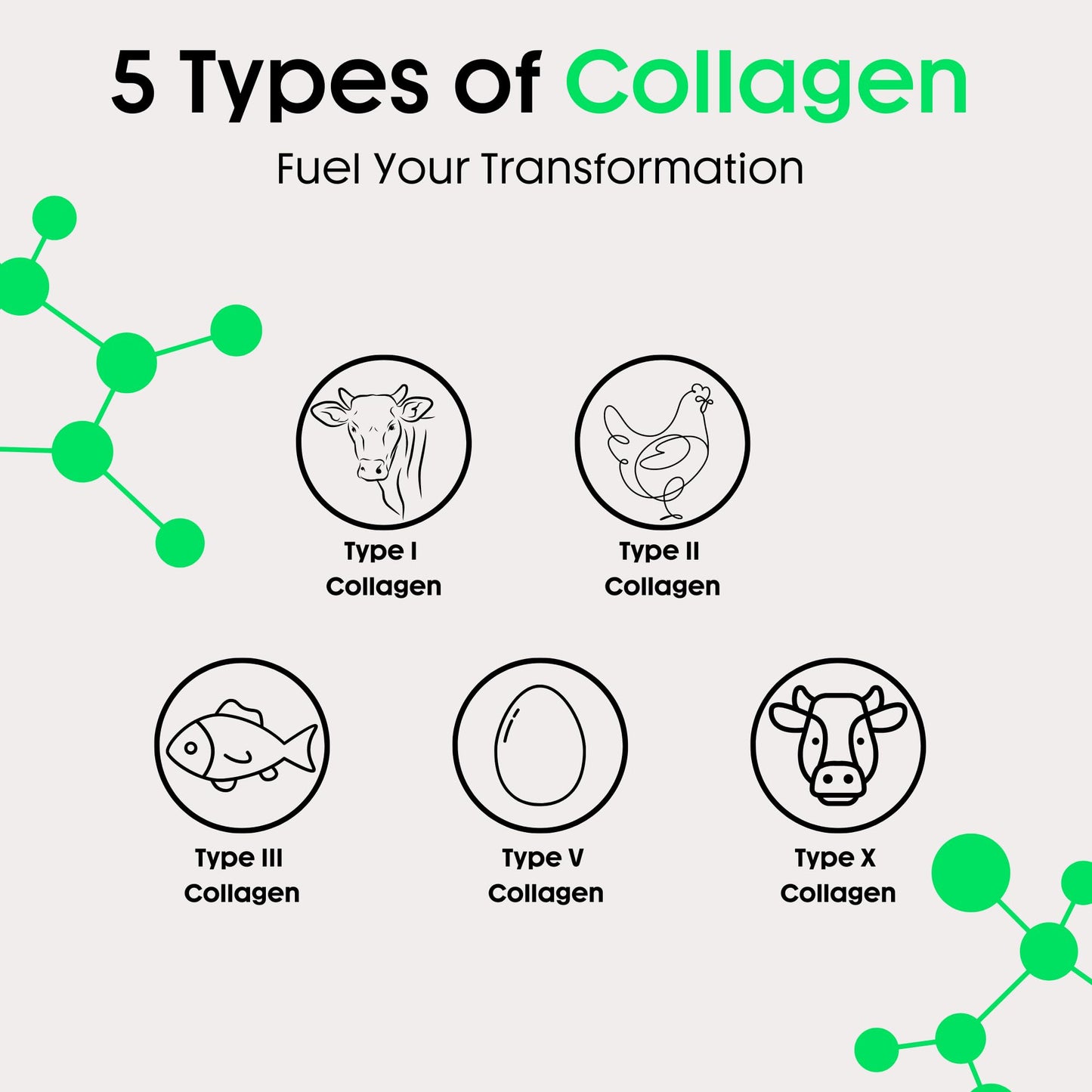 Nuray Collagenic Burn Elite with Green Tea - Collagen Peptides- 60 Capsules