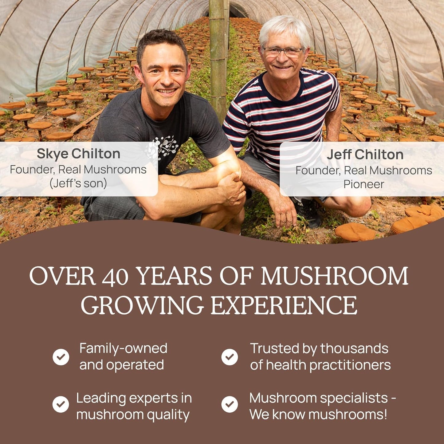 Real Mushrooms Unsweetened Organic Hot Chocolate Mix with 5 Defenders Turkey Tail, Chaga, Maitake, Shiitake, Reishi Mushroom - Cacao Powder Vegan Supplement, 15 Servings