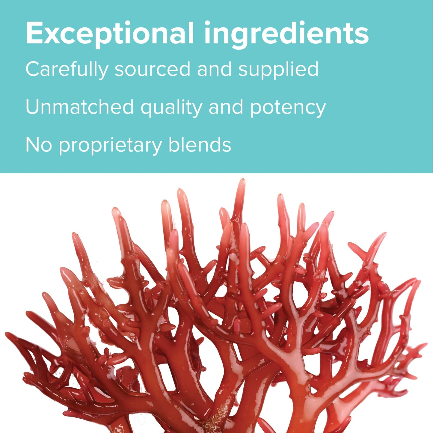 Vibrant Health, Gigartina Red Marine Algae, Plant-Based Immune Support, 60 Capsules (FFP)