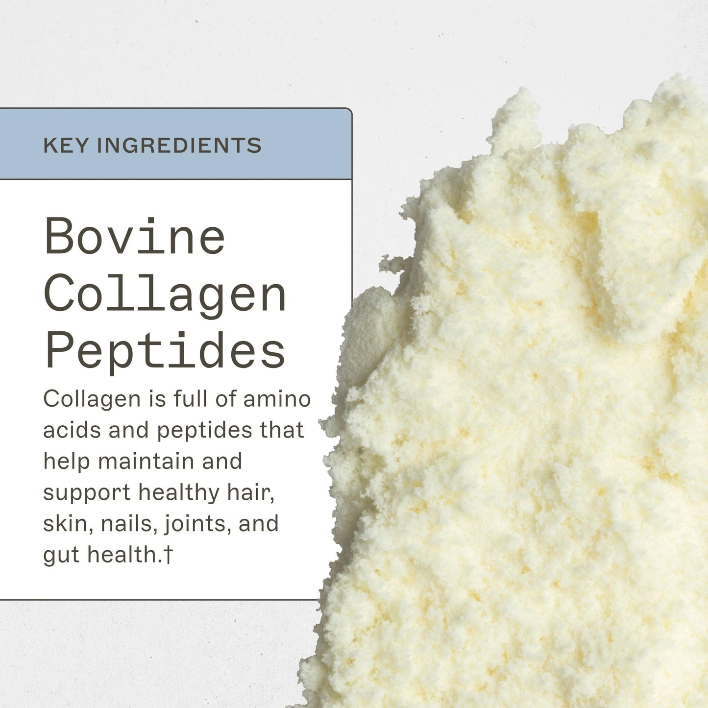 Amy Myers MD Grass Fed Collagen Peptides Powder Unflavored - Pure Hydrolyzed Collagen for Hair Skin and Nails - Bone & Joint Health - Non-GMO, Gluten-Free, Paleo & Keto Friendly - No taste 38 Servings