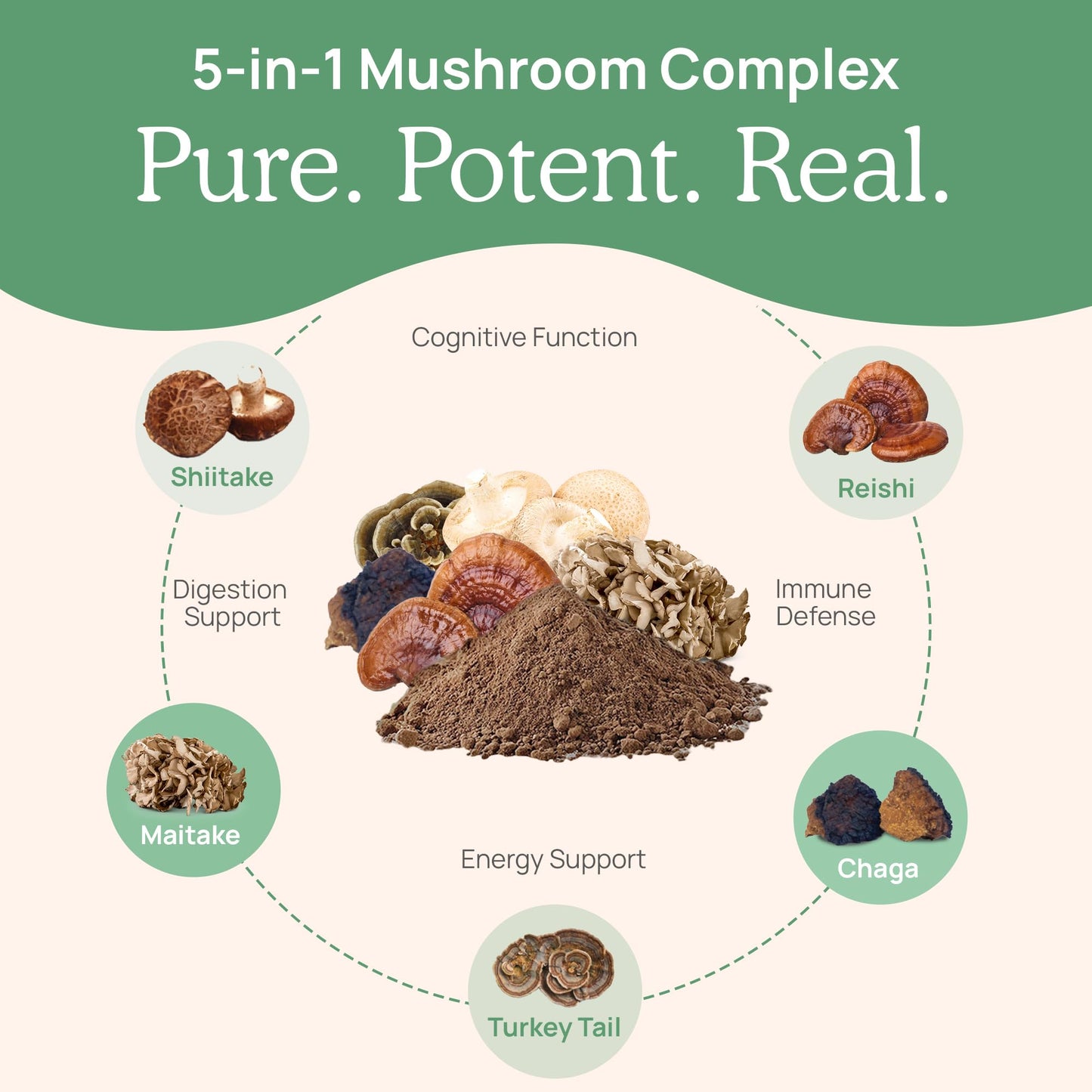 Real Mushrooms 5 Defenders Powder - Organic Mushroom Extract w/Chaga, Shiitake, Maitake, Turkey Tail, & Reishi - Mushroom Supplement for Brain, Focus, & Immune Support - Vegan, Non-GMO, 100 Servings