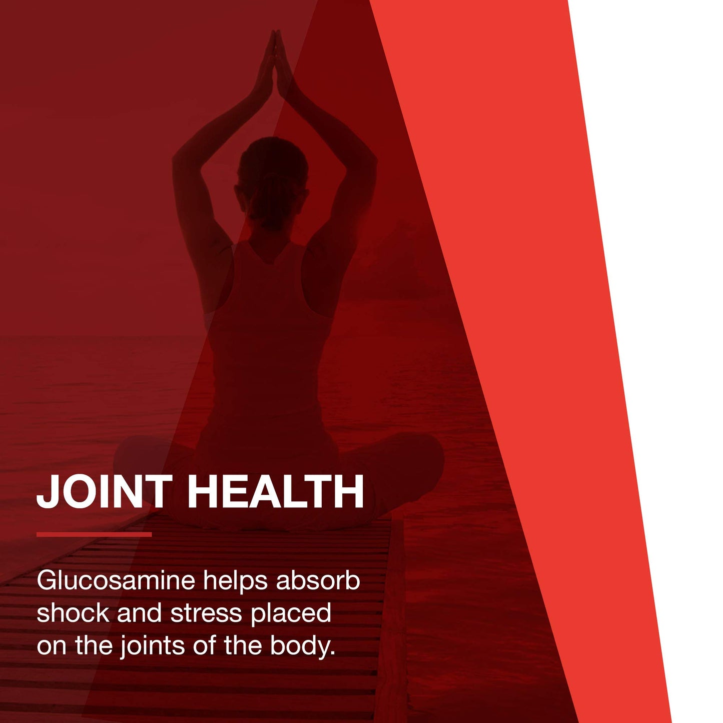 Protocol Glucosamine & Chondroitin with MSM - Joint Support* - Chondroitin MSM Supplement - Non-GMO & Dairy Free - 180 Veg Caps
