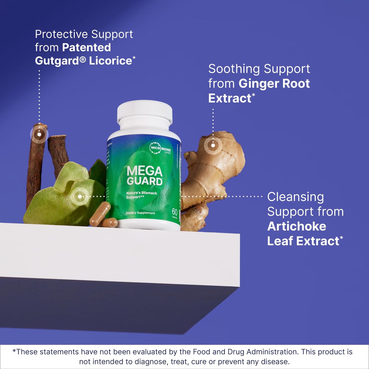 Microbiome Labs MegaGuard Gut Health Supplements - Ginger Root, Licorice Root & Artichoke Leaf Extract to Support Digestive Health & Occasional Gas - for Women, Men & Kids 8+ (60 Capsules)