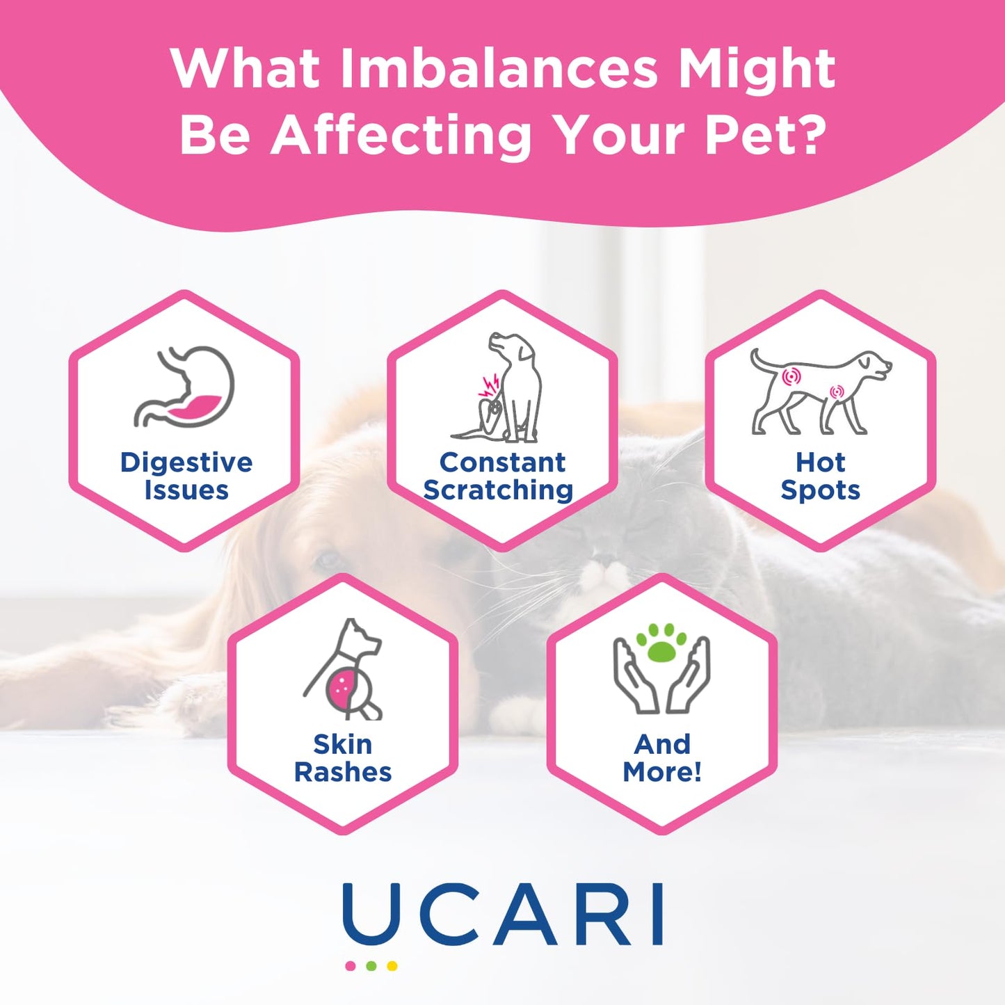 UCARI Pet Sensitivity Test | Screens for 350+ Intolerances | Food & Ingredients Analysis | Painless Home Test Hair Sample Method | Results in 48 Hours | Cats & Dogs