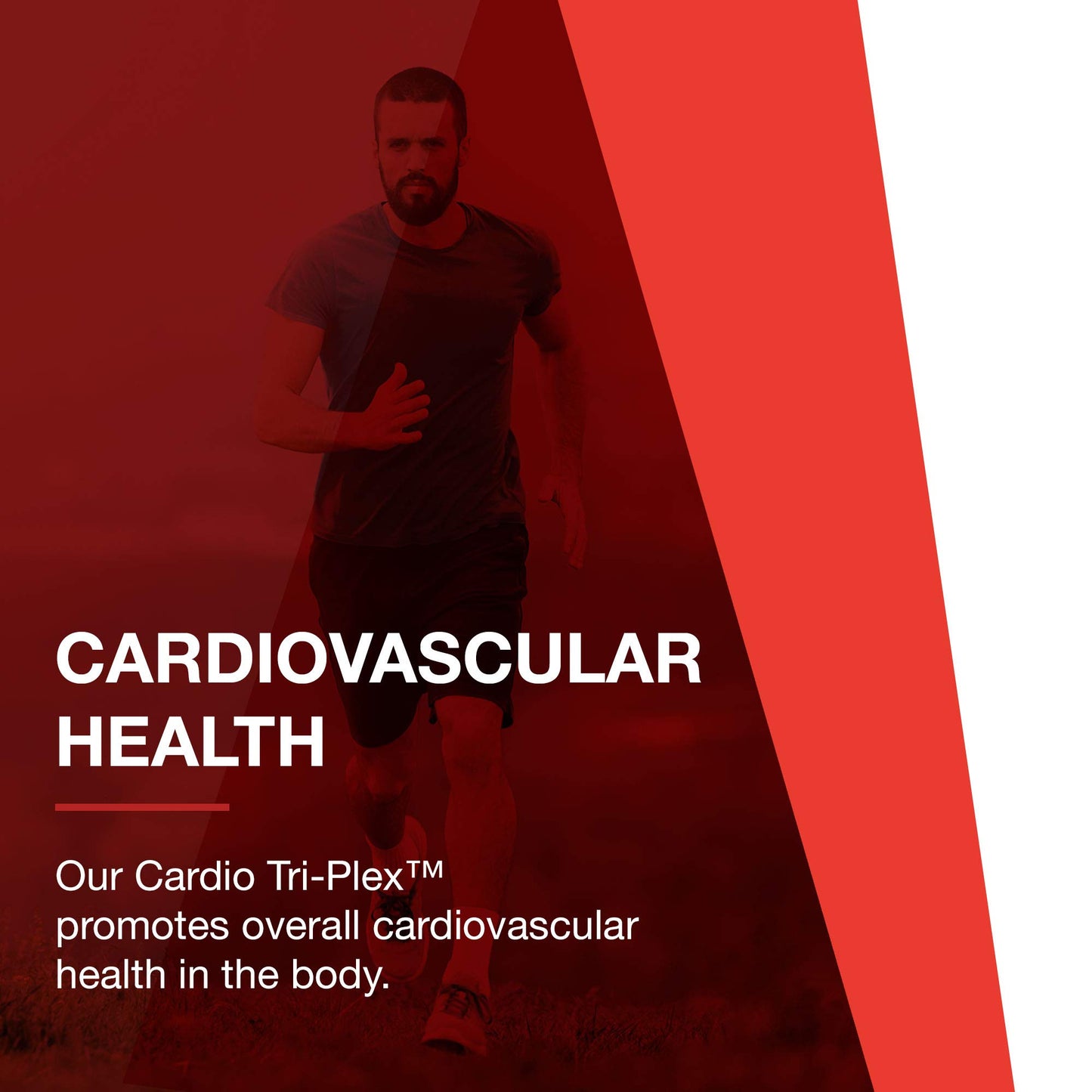 PROTOCOL FOR LIFE BALANCE Cardio Tri-Plex - Heart Health Formula - with Red Yeast Rice, CoQ10 & Omega-3 Fish Oil - DHA Dietary Supplements