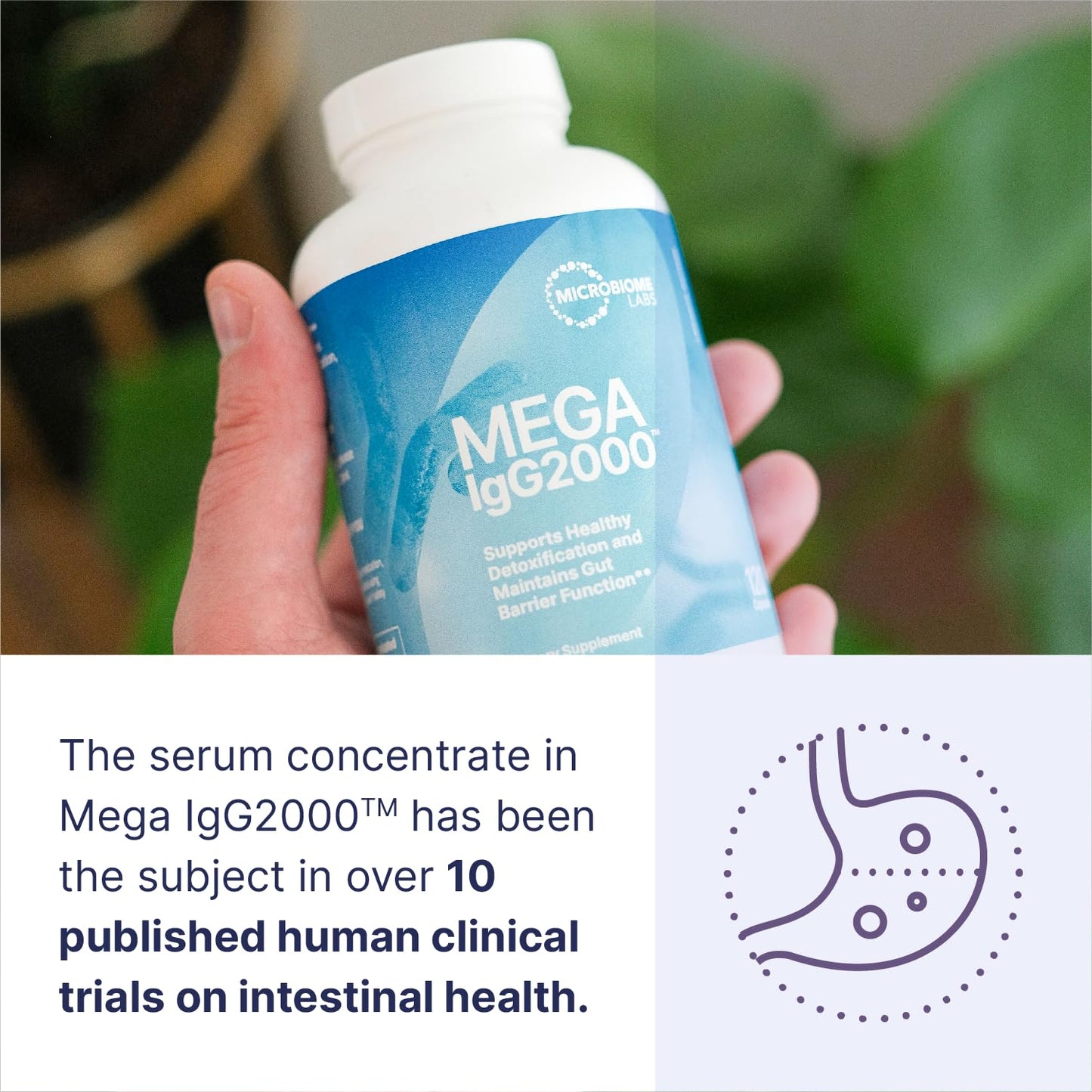 Microbiome Labs Mega IgG2000 Capsules - Dairy Free Bovine Colostrum Supplement Alternative - Immunoglobulin Supplement from Bovine Serum to Support Digestive Health (120 Capsules)