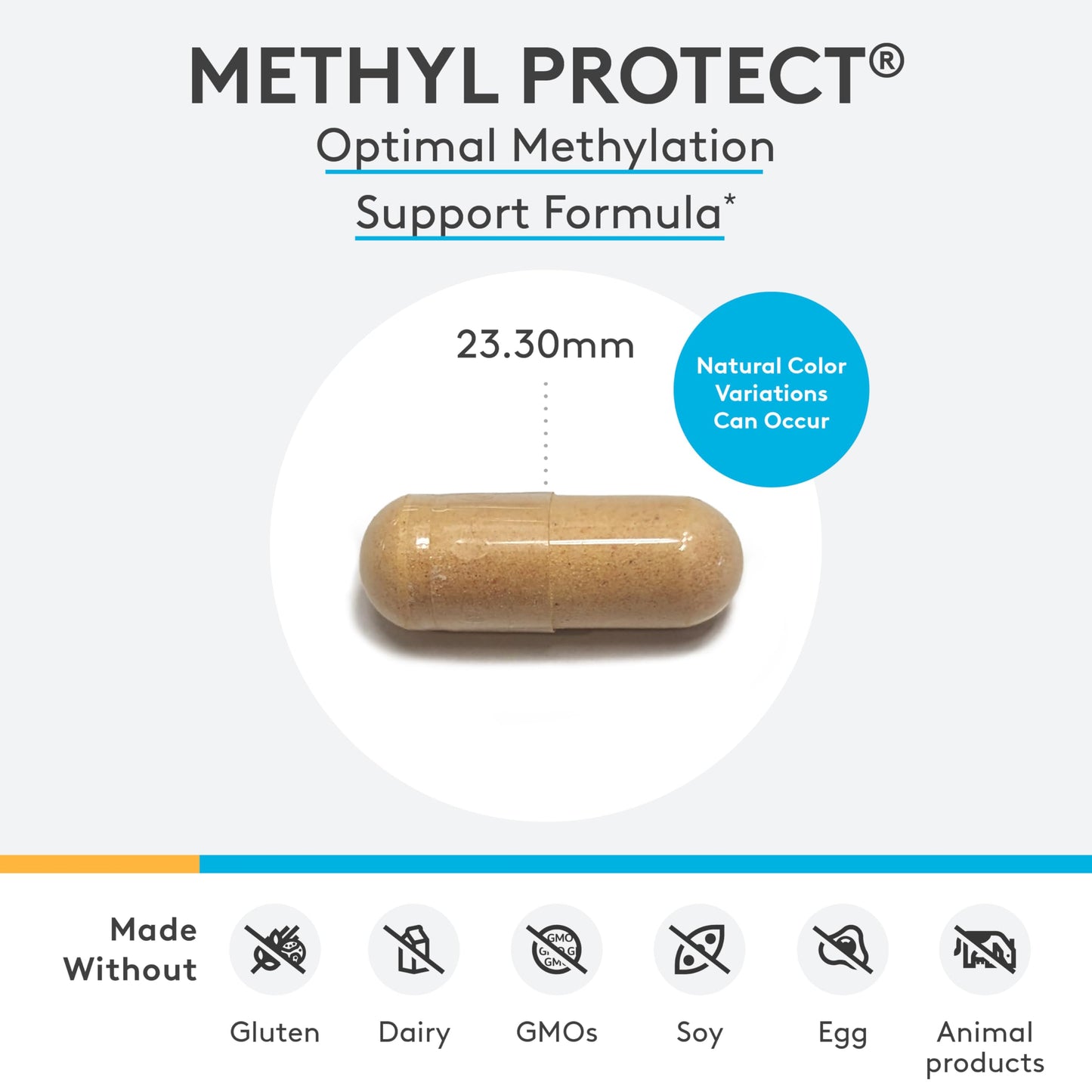 XYMOGEN Methyl Protect - Optimal Methylation Formula with Methyl Folate, Vitamin B12 (Methylcobalamin b12), Riboflavin + B6 Vitamins - Cognitive, Homocysteine + Heart Health Supplements (120 Capsules)