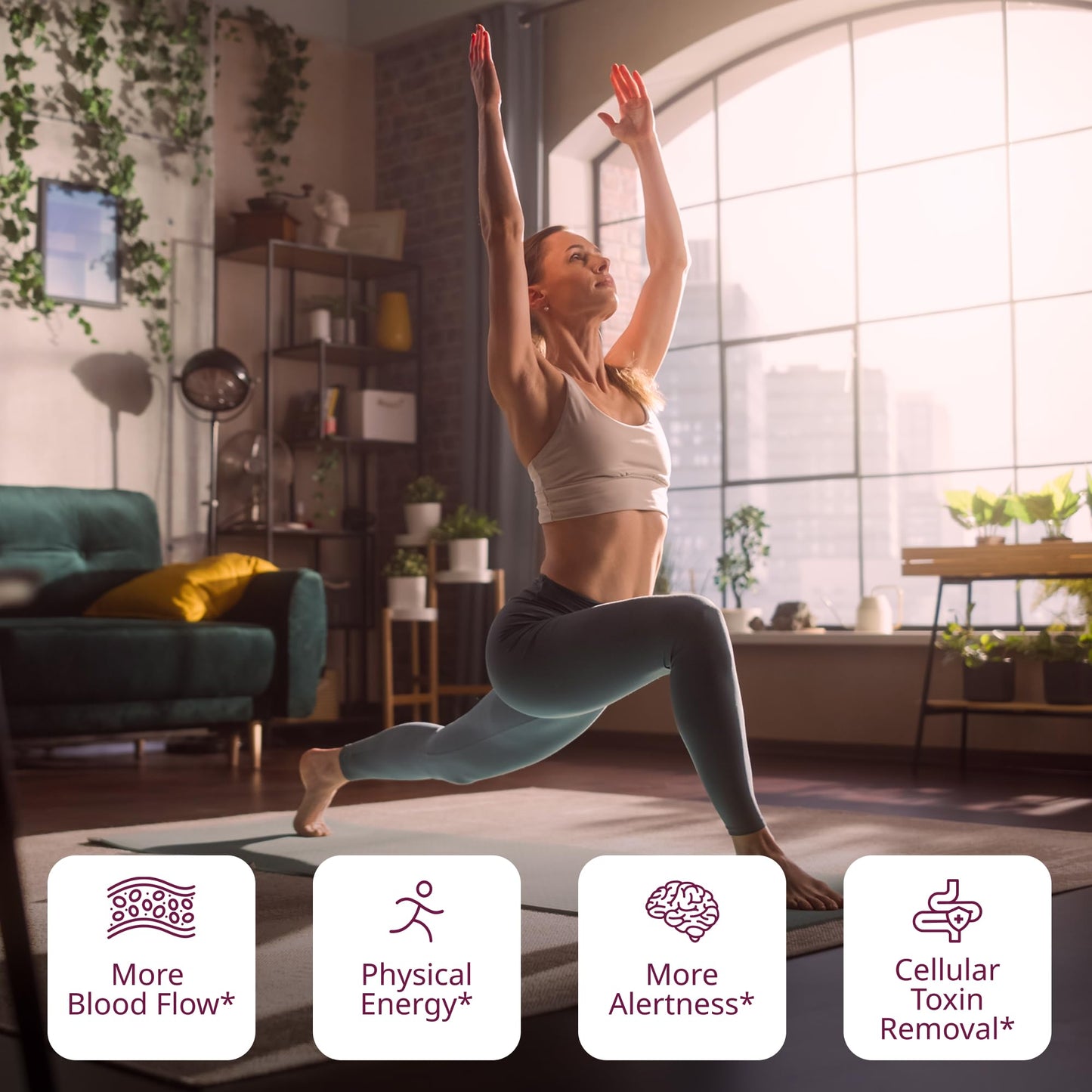 VINIA Premium Matcha + Green Tea Bags, Made with Organic Tea, Infused with Piceid Resveratrol for Heart Health, Nitric Oxide, Physical Energy, Alertness, Blood Flow, Keto, Kosher, NON-GMO. 30 Ct