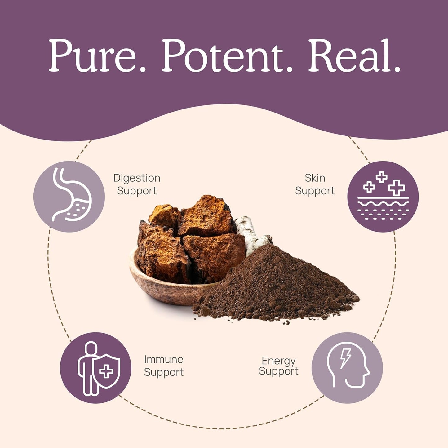 Real Mushrooms Chaga Powder - Organic Mushroom Supplement with Extract for Digestion, Energy, Immune Support Vegan Extract, Non-GMO, 60 Servings