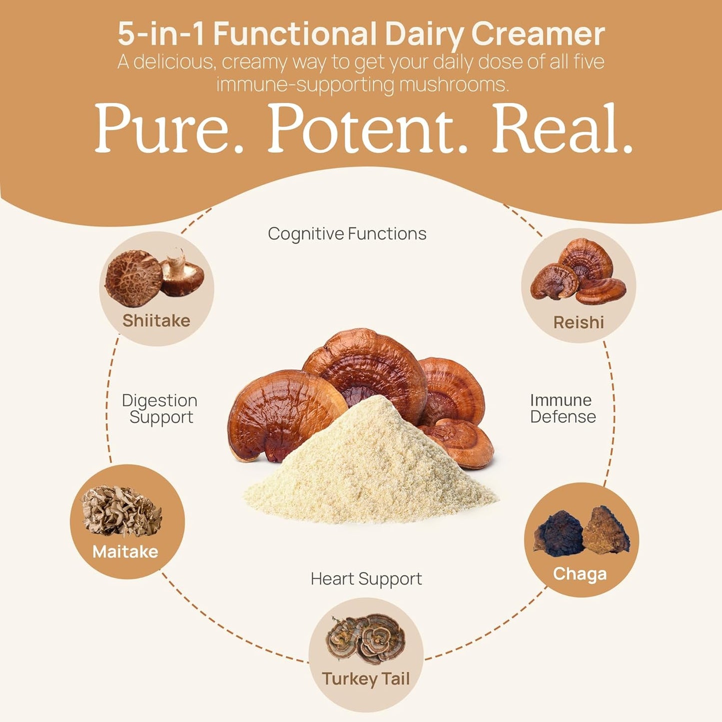 Real Mushrooms Functional Dairy Creamer - Coffee with Mushroom Extracts, Sweetened by Organic Lucuma Powder Maple Sap Powdered for Smoothies 90 Servings