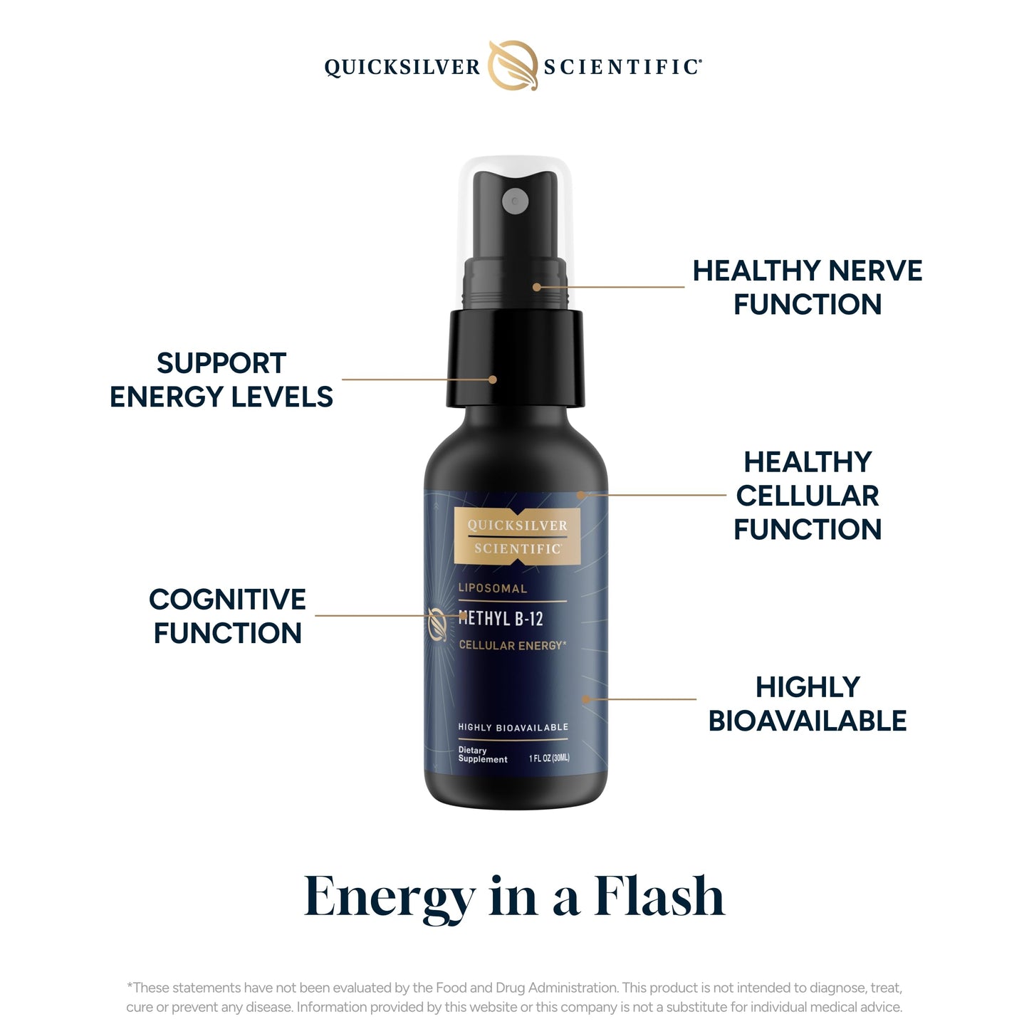Quicksilver Scientific Methyl B12-1000mcg Vitamin B12 as Methylcobalamin - with Nano Technology for Superior Absorption - Supportive Energy Supplement (30ml / 90 Servings)