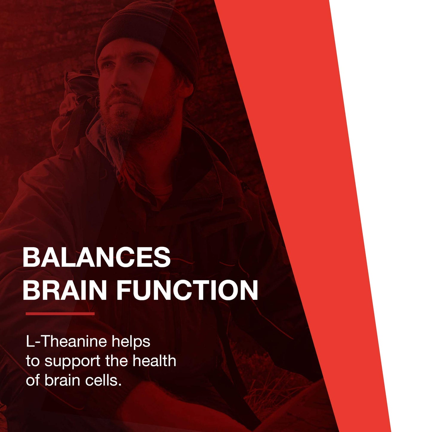 PROTOCOL FOR LIFE BALANCE L-Theanine 200mg - Normal Stress Relief - Non-Drowsy - 60 Veg Caps