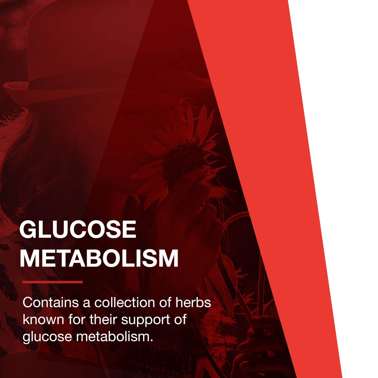 Protocol Glucose Balance - Supports Carbohydrate Metabolism* - with Chromium, Magnesium & Biotin - Kosher & Dairy Free - 90 Veg Caps