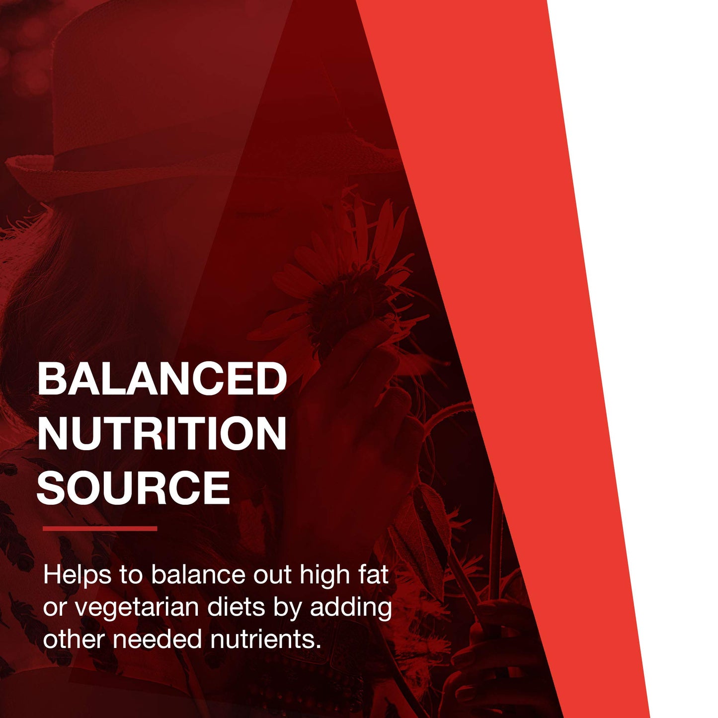 PROTOCOL FOR LIFE BALANCE L-Carnitine 500mg - Cell Energy Metabolism - Exercise Performance, Recovery - 60 Veg Caps