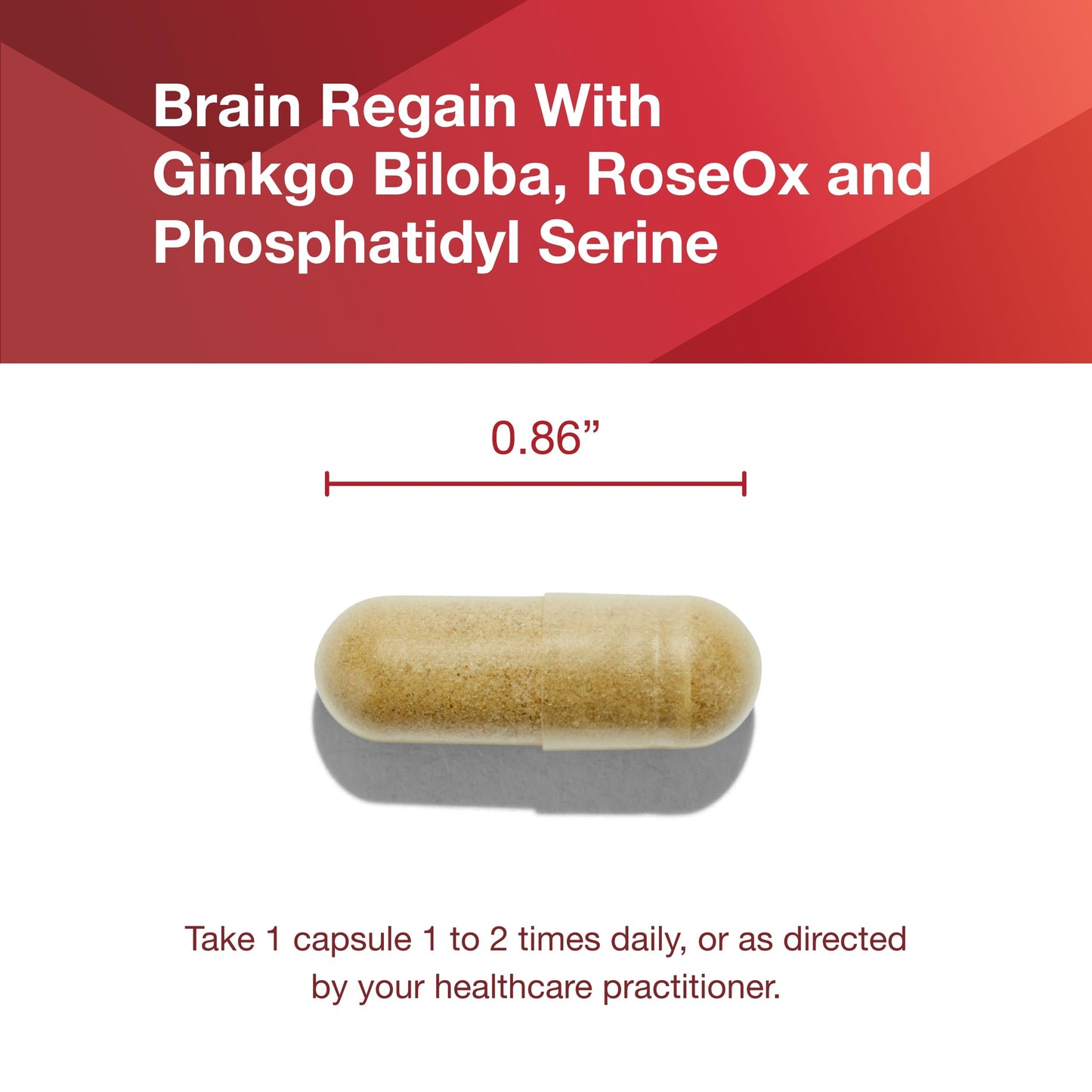 Protocol Brain Regain - Brain Support* - with Phosphatidylserine - Brain Health Supplement* - Vascular Health - 90 Veg Caps