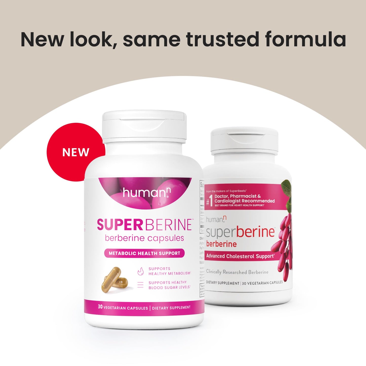 HumanN SuperBerine Berberine Supplement - Cholesterol & Metabolic Clinically Researched Support - High Absorbency Formula with Olive Leaf Extract - 30 Capsules