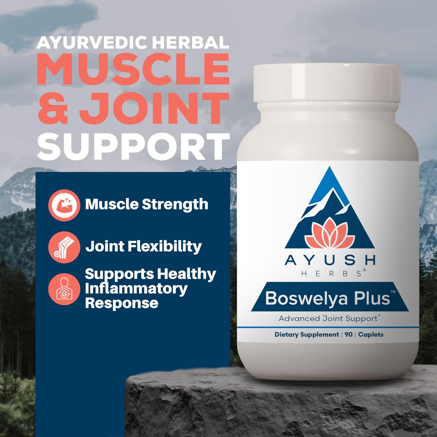 Ayush Herbs Boswelya Plus - Glucosamine Chondroitin Joint Support Supplement, Turmeric Muscle Support for Men & Women, Joint Care with Curcumin - 90 Vegetarian Capsules (1 Count)
