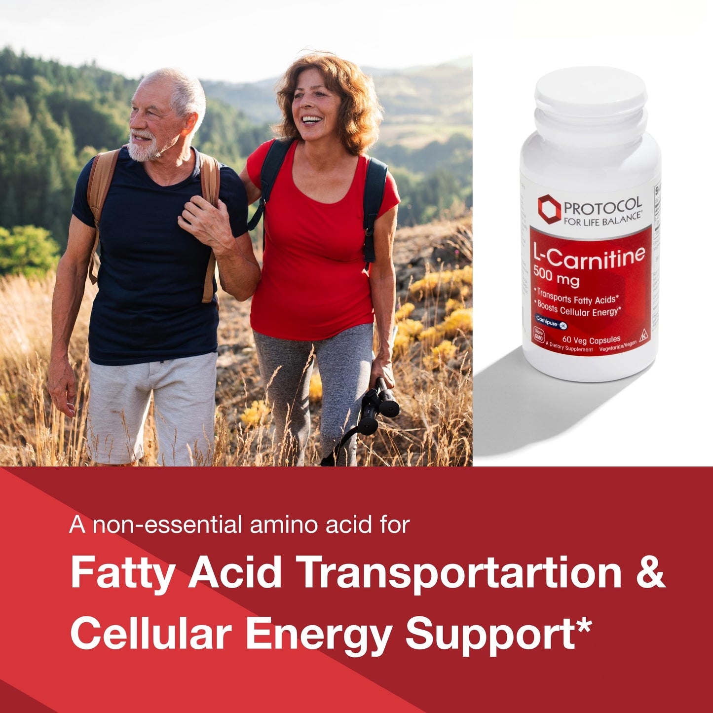 PROTOCOL FOR LIFE BALANCE L-Carnitine 500mg - Cell Energy Metabolism - Exercise Performance, Recovery - 60 Veg Caps
