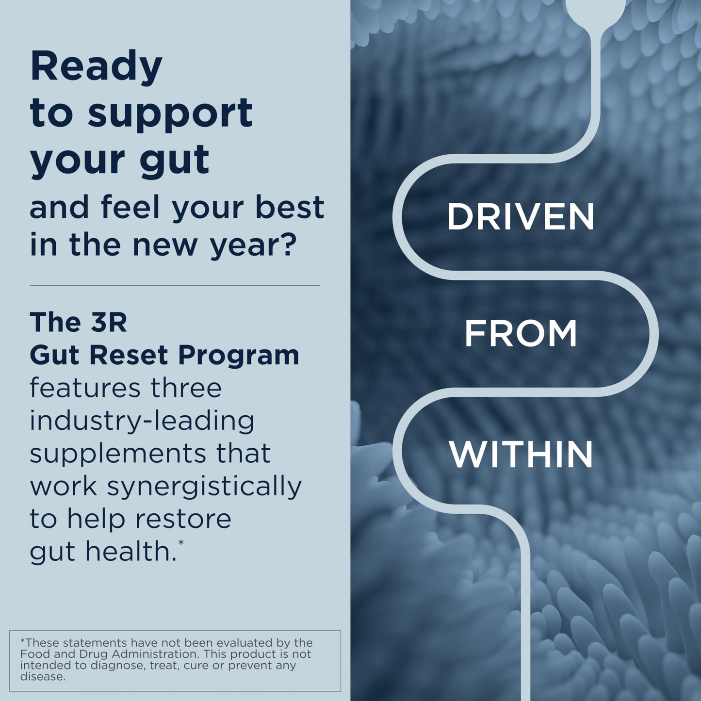Designs for Health 3R Gut Reset Program - IgGI Immunoglobulin Capsules, ProbioMed 50 Probiotic, GI Revive to Soothe, Coat & Fortify (3 Products)