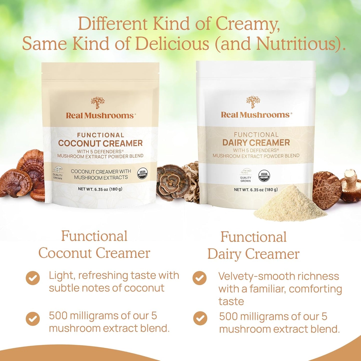 Real Mushrooms Functional Dairy Creamer - Coffee with Mushroom Extracts, Sweetened by Organic Lucuma Powder Maple Sap Powdered for Smoothies 90 Servings
