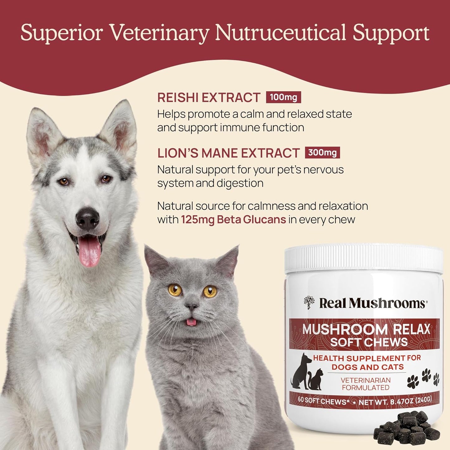 Real Mushrooms Calming Chews for Dogs - Cat Dog Treats w Reishi Lions Mane, Dogs, Relaxation, Bites Pet, 60ct