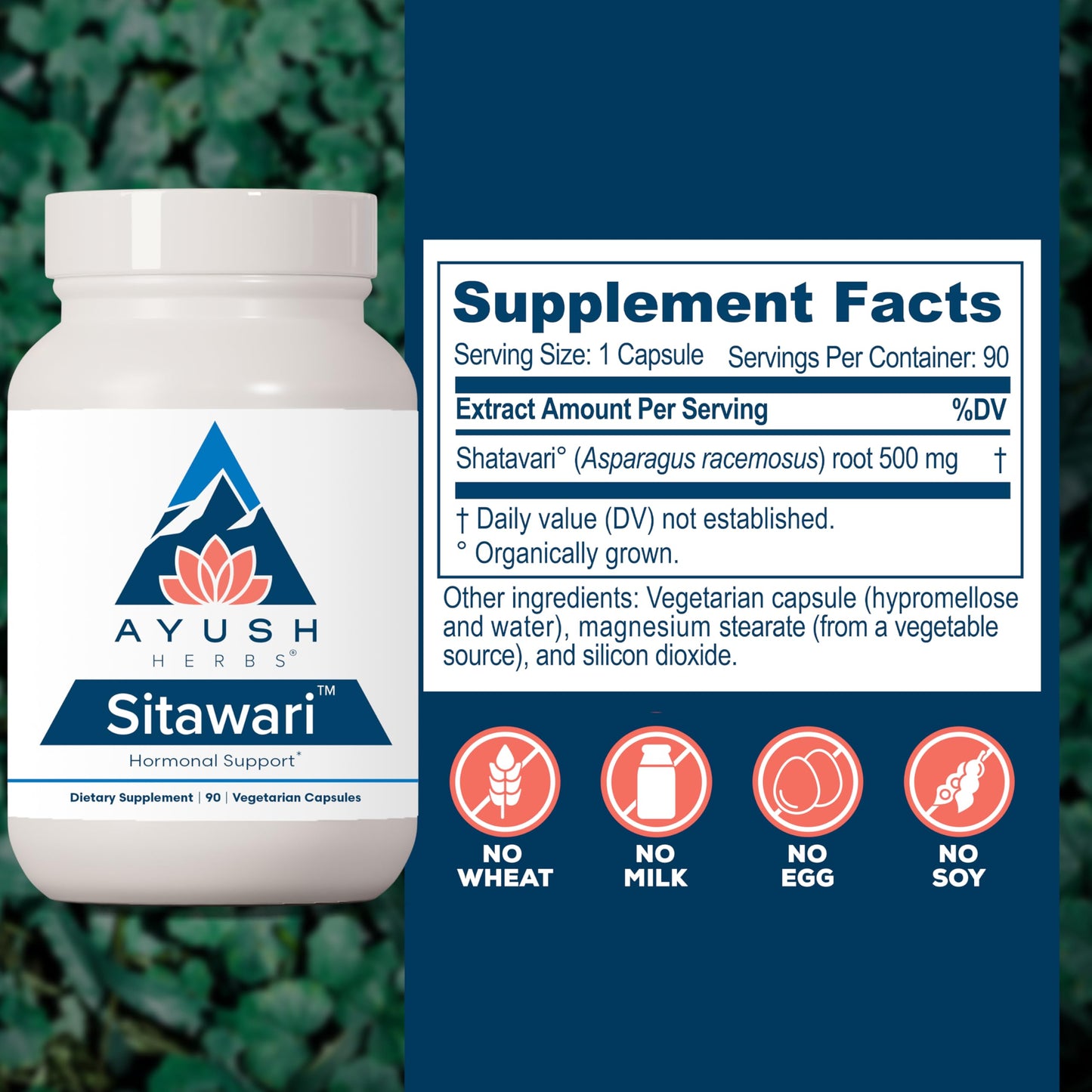Ayush Herbs Sitawari - Shatavari Capsules for Women, Shatavari Root Supplement, Hormone Balance for Women, Natural Female Reproductive Support - 90 Vegetarian Capsules (1 Count)