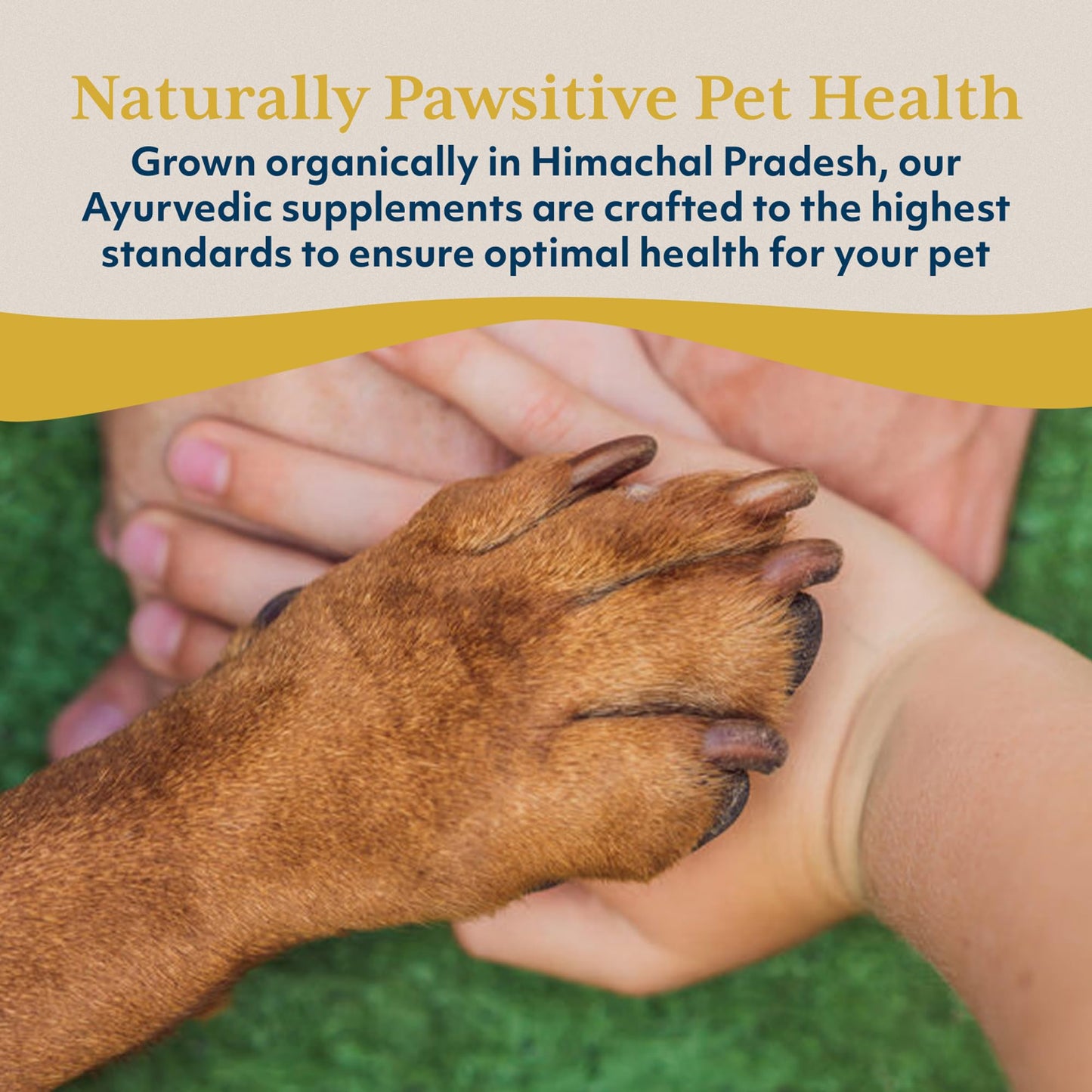 Ayush Pet Stress Support, Ashwagandha Calming Aid for Pets, Promotes Energy and Vitality, 120 Capsules