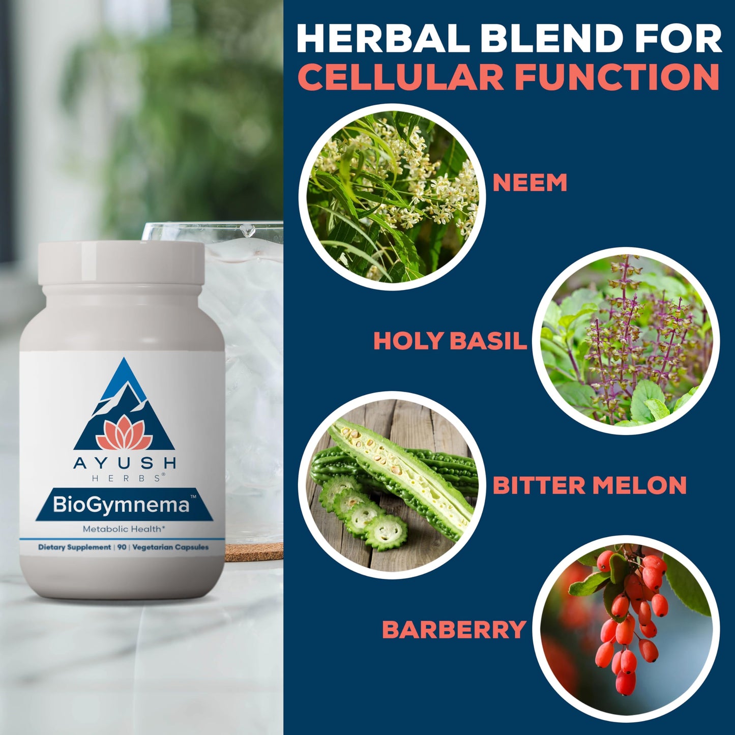 Ayush Herbs BioGymnema - Metabolic Vitamin & Herb Blend, Metabolic Health Supplement for Women & Men with Biotin, Berberine, Bitter Melon & Gymnema, Nutrient Support - 90 Vegetarian Capsules (1 Count)