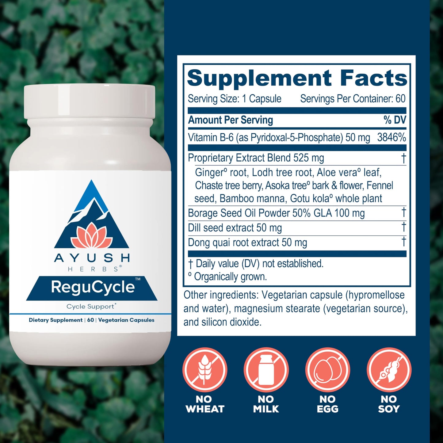 Ayush Herbs Regu-Cycle - Hormone Balance for Women, Hormonal Support, Period Support & Relief, Reproductive Health, Regulate Menstrual Cycle, Ovarian Support Supplement - 60 Vegetarian Capsules