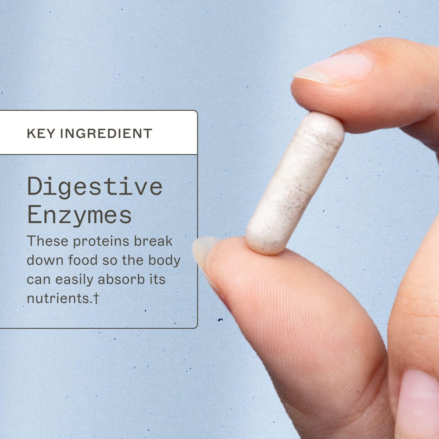 Amy Myers MD Digestive Enzymes for Digestion Aid - 19 Enzymes for Gut Health, Bloating & Stomach Issues - DPP-IV Protease Amylase Lipase Lactase Sucrase - Break Down Protein carb Sugar Fiber 120 Caps