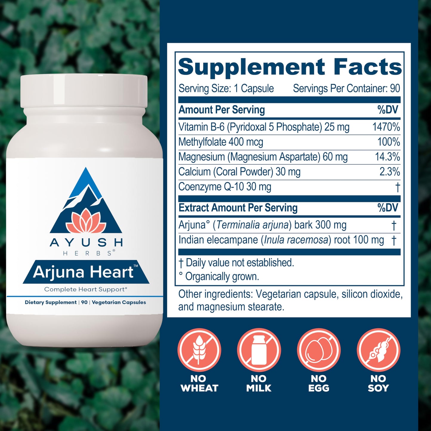 Ayush Herbs Arjuna Heart - Complete Heart-Support Supplement, Natural Arjuna, Magnesium & CoQ10 Formula for Women & Men - 90 Vegetarian Caplets (1 Count)