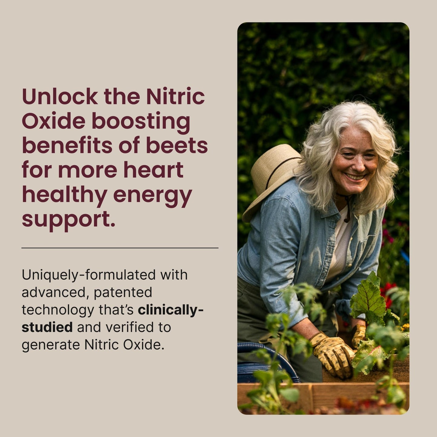 HumanN SuperBeets Beet Root Powder - Non-GMO Beetroot Superfood - Nitric Oxide Supplement for Heart Health, Circulation & Blood Pressure Support - Black Cherry, 30 Servings