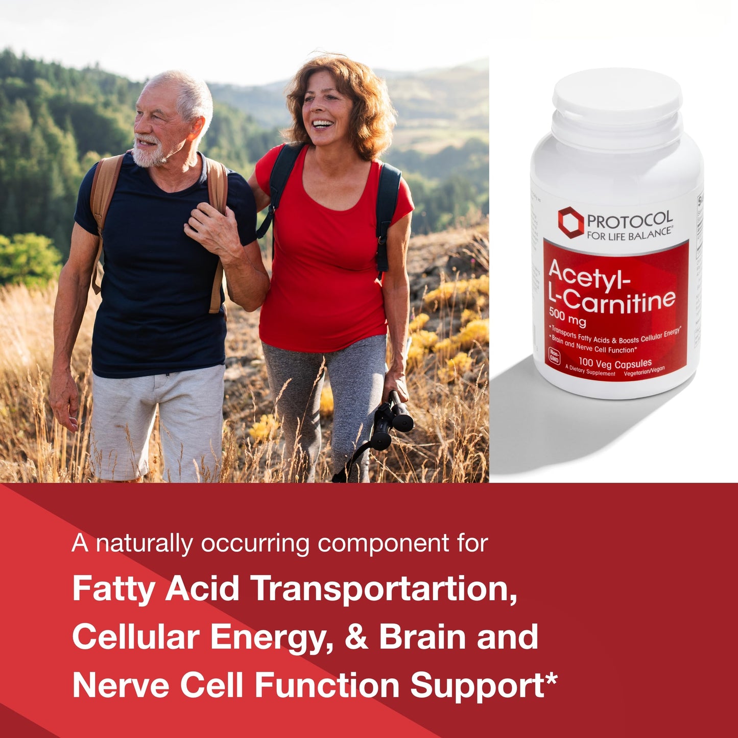 Protocol Acetyl- L-Carnitine 500mg - Energy Supplement, Nerve, and Brain Support - 100 Veg Caps
