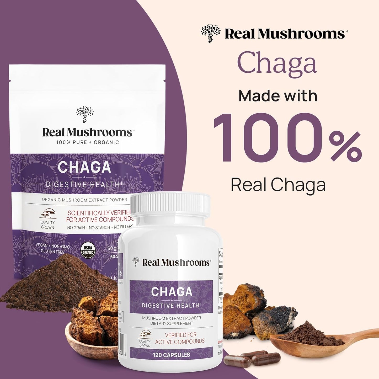 Real Mushrooms Chaga Powder - Organic Mushroom Supplement with Extract for Digestion, Energy, Immune Support Vegan Extract, Non-GMO, 60 Servings