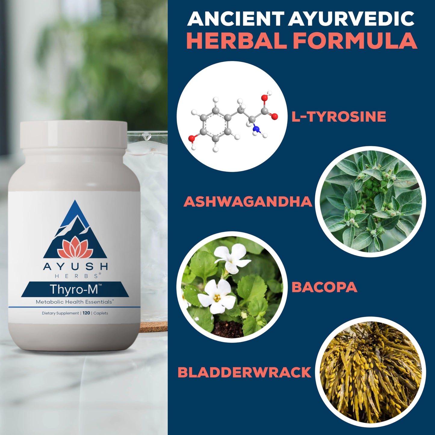Ayush Herbs Thyro-M - Thyroid Support for Women & Men, Thyroid Health, Thyroid Care with L Tyrosine, Ashwagandha, Kelp, Natural Energy Support - 120 Vegetarian Capsules (1 Count)
