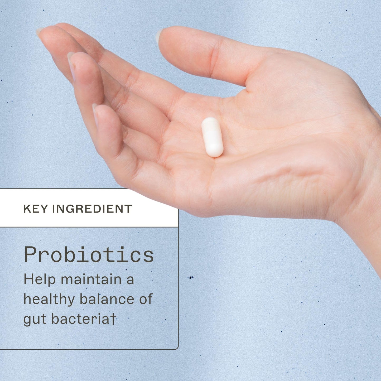 Amy Myers MD Prescription Strength Soil Based Probiotic Three Strains - Primal Earth SBO Probiotics for Normal Bowel Pattern & Healthy GI Microflora - Supports Stomach Discomfort, Bloating and Nausea