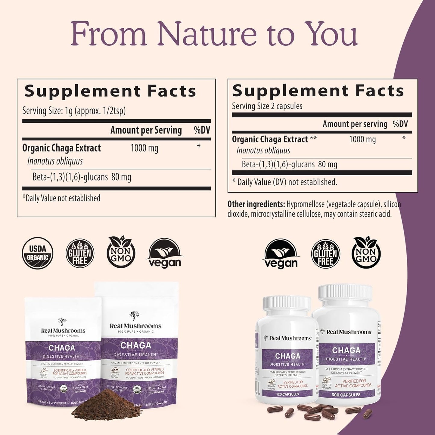 Real Mushrooms Chaga Powder - Organic Mushroom Supplement with Extract for Digestion, Energy, Immune Support Vegan Extract, Non-GMO, 150 Servings