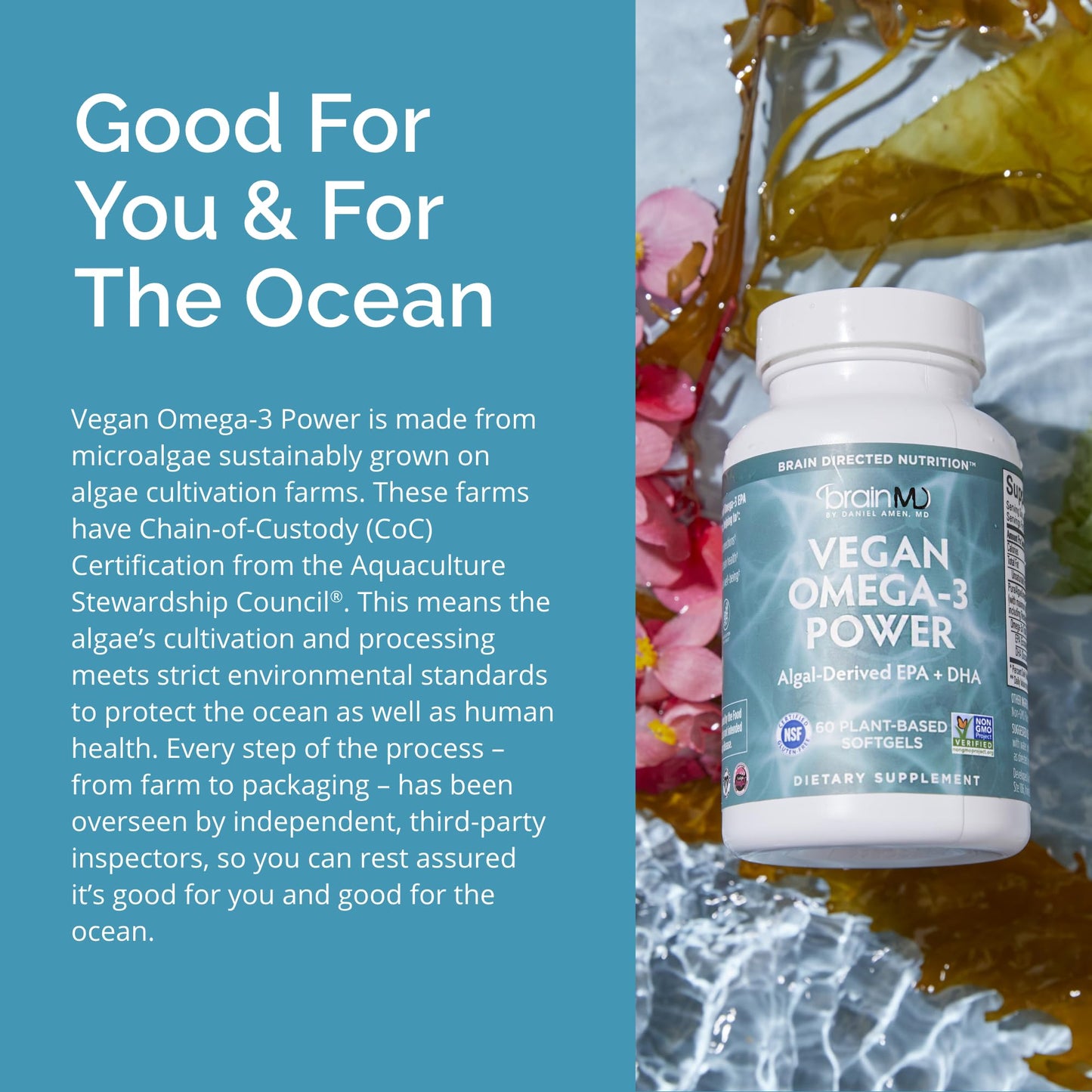 BRAINMD Dr Amen Vegan Omega-3 Power - 60 Plant-Based Softgels - 1,100 mg of EPA & DHA - Supports Focus, Memory & Heart Health - Vegan, Gluten Free & Non-GMO - 30 Servings