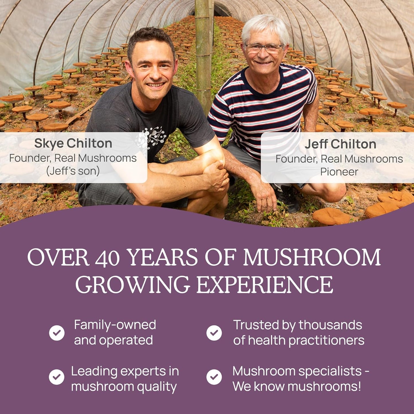 Real Mushrooms Chaga Capsules - Organic Mushroom Supplement with Extract Powder for Digestion, Energy, Immune Support Vegan Extract, Non-GMO, 120 Caps