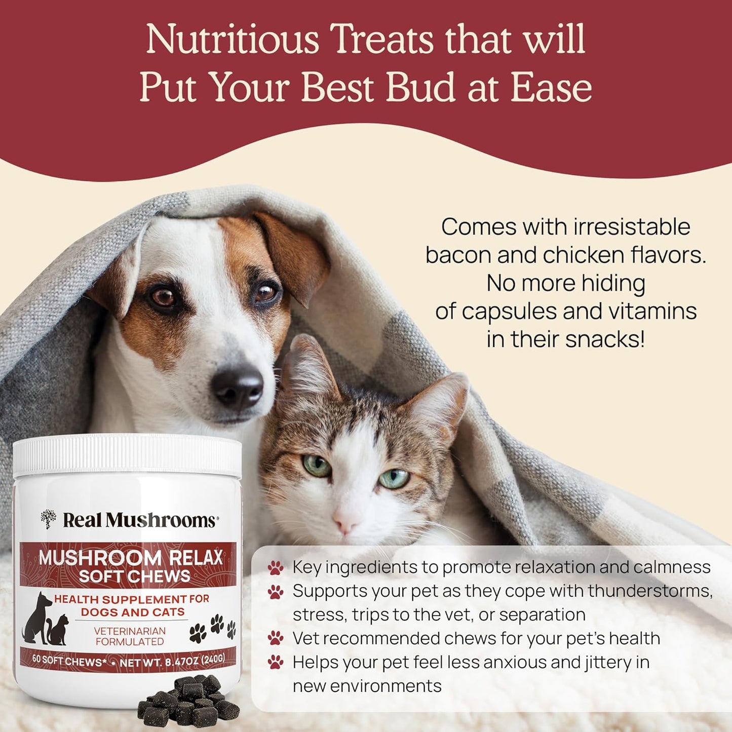 Real Mushrooms Calming Chews for Dogs - Cat Dog Treats w Reishi Lions Mane, Dogs, Relaxation, Bites Pet, 60ct