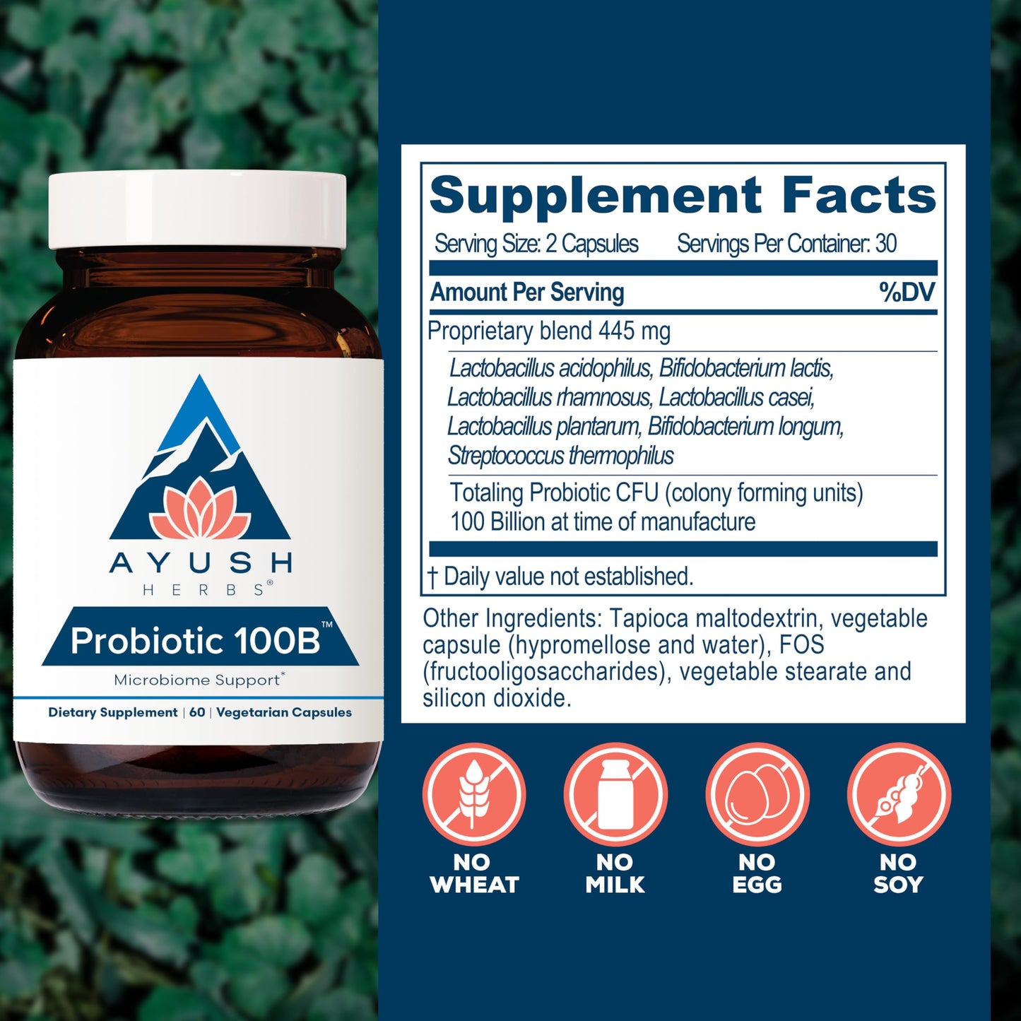 Ayush Herbs Probiotic 100B - Probiotics for Women, Probiotics for Men, Prebiotics and Probiotics for Digestive Health, Gas Relief, Gut Microbiome Balance - 60 Vegetarian Capsules (1 Count)