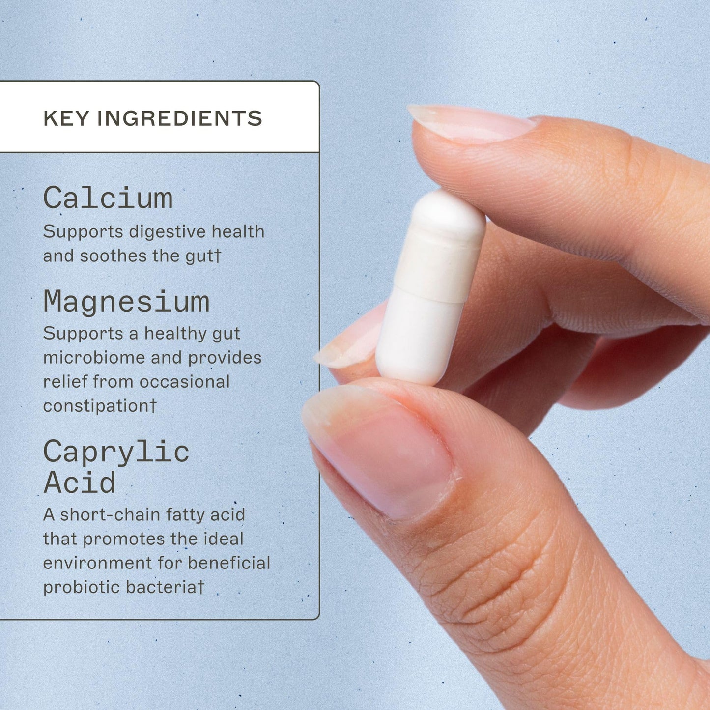 Dr Amy Myers Caprylic Acid Capsules 800 mg - Provides Optimal Support for Healthy Balance - Gradual Release, Best Buffered Formula to Support a Healthy Gut and Probiotic - 120 Vegan Capsule