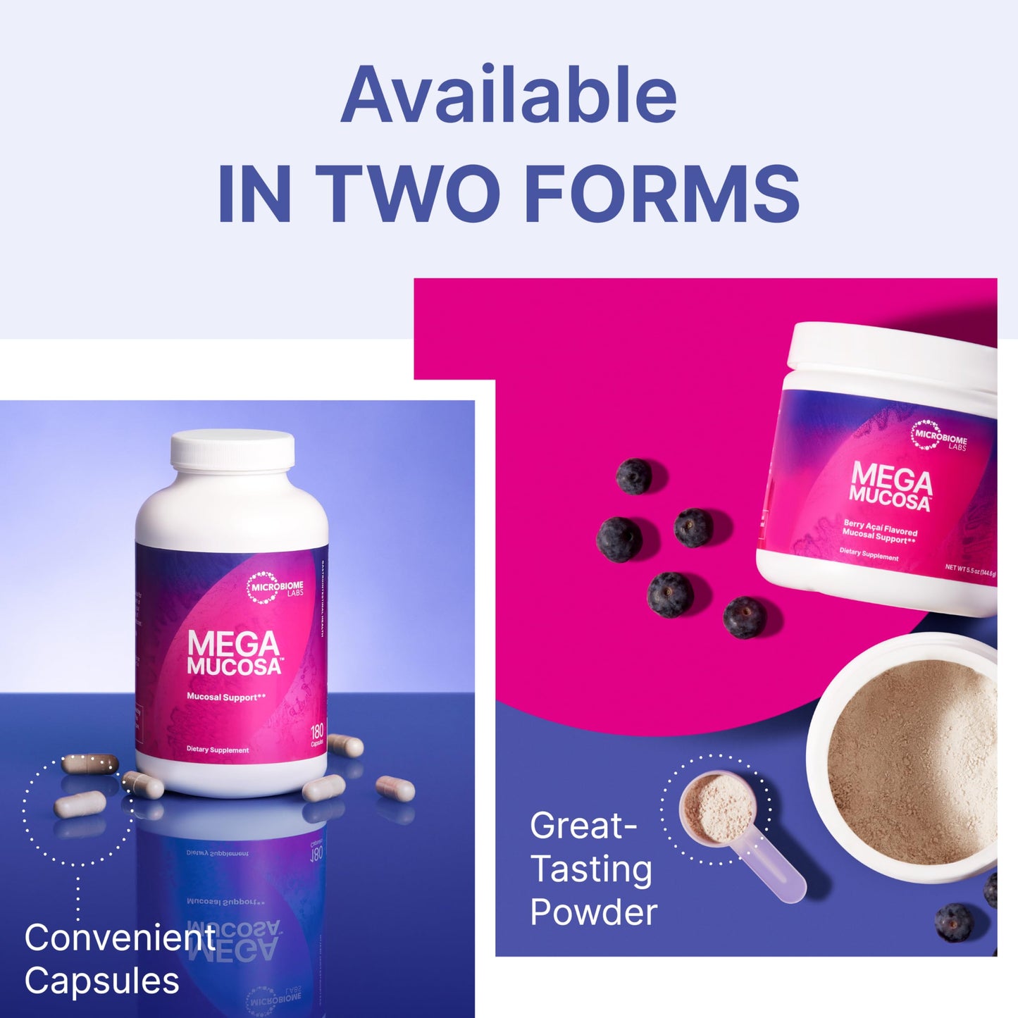 Microbiome Laps MegaMucosa - Amino Acids Supplement with Dairy-Free Immunoglobulins - Gut Health + Immune Support for Women & Men - For Complete Mucosal Support (180 Capsules)